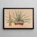 Agave schidigera - Charles Antoine Lemaire — cuadro enmarcado en la pared