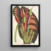 Alocasia metallica - Charles Antoine Lemaire — cuadro enmarcado en la pared
