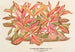 Alternanthera amabilis var. - Charles Antoine Lemaire — vista de la obra