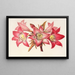 Amaryllis Belladonna - Charles Antoine Lemaire — cuadro enmarcado en la pared