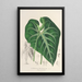 Anthurium leuconeurum - Charles Antoine Lemaire — cuadro enmarcado en la pared