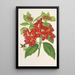 Reproduction of the painting Aucuba japonica Thunb en fruits - Charles Antoine Lemaire