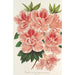 Azalea indica - Charles Antoine Lemaire — vista de la obra