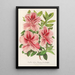 Reproducción del cuadro Azalea indica hybrida Madame Verschaffelt - Charles Antoine Lemaire