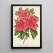 Azalea indica hybrida Madame Wagner - Charles Antoine Lemaire — cuadro enmarcado en la pared