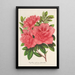 Azalea indica hybrida William Bull - Charles Antoine Lemaire — cuadro enmarcado en la pared