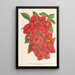 Bougainvillea spectabilis - Charles Antoine Lemaire — cuadro enmarcado en la pared