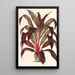 Reproduction of the painting Calodracon terminalis var Moorei - Charles Antoine Lemaire