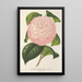 Reproduction of the painting Camellia Archiduc Étienne - Charles Antoine Lemaire