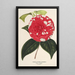 Camellia Giardino Santarelli - Charles Antoine Lemaire — cuadro enmarcado en la pared