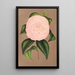 Reproduction of the painting Camellia Mistress Dombrain - Charles Antoine Lemaire