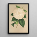 Camellia Sangalli - Charles Antoine Lemaire — framed artwork on a wall