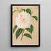 Camellia Virginia Franco - Charles Antoine Lemaire — framed artwork on a wall