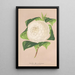 Reproduction of the painting Camellia alba ornatissima - Charles Antoine Lemaire