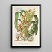 Reproduction of the painting Catasetum trimerochilum - Charles Antoine Lemaire