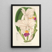 Cattleya quadricolor - Charles Antoine Lemaire — framed artwork on a wall