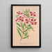 Clarkia pulchella var. marginata - Charles Antoine Lemaire — framed artwork on a wall