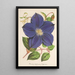Clematis Jackmani - Charles Antoine Lemaire — framed artwork on a wall