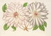 Clematis patens - Charles Antoine Lemaire — vista de la obra