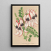 Clianthus Dampieri con flores blancas y borde rojo - Charles Antoine Lemaire — cuadro enmarcado en la pared