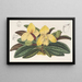 Cypripedium concolor - Charles Antoine Lemaire — cuadro enmarcado en la pared