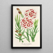Reproduction of the painting Dianthus Verschaffeltii - Charles Antoine Lemaire