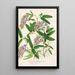 Hardenbergia Makoyana hybrida - Charles Antoine Lemaire — cuadro enmarcado en la pared