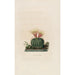 Reproduction of the painting Iconographie descriptive des cactées Pl05 - Charles Antoine Lemaire