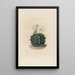 Iconografía descriptiva de los cactus Pl06 - Charles Antoine Lemaire — cuadro enmarcado en la pared