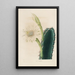 Reproducción del cuadro Iconografía descriptiva de los cactus Pl11 - Charles Antoine Lemaire