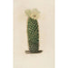 Reproducción del cuadro Iconografía descriptiva de los cactus Pl13 - Charles Antoine Lemaire