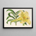 Lilium neilgherricum - Charles Antoine Lemaire — cuadro enmarcado en la pared