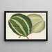 Maranta virginalis - Charles Antoine Lemaire — cuadro enmarcado en la pared
