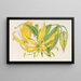 Methonica grandiflora - Charles Antoine Lemaire — framed artwork on a wall
