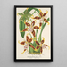 Reproduction of the painting Odontoglossum hallii - Charles Antoine Lemaire