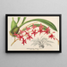 Odontoglossum roseum - Charles Antoine Lemaire — framed artwork on a wall