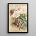 Phalaenopsis schilleriana - Charles Antoine Lemaire — cuadro enmarcado en la pared