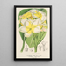 Plumeria lutea - Charles Antoine Lemaire — cuadro enmarcado en la pared