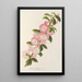 Prunus triloba - Charles Antoine Lemaire — cuadro enmarcado en la pared