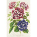 Petunia inimitabilis híbrido con floración completa - Charles Antoine Lemaire — vista de la obra