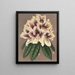 Rhododendron Archiduc Albert híbrido - Charles Antoine Lemaire — cuadro enmarcado en la pared