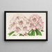 Rhododendron Bijou de Gand híbrido - Charles Antoine Lemaire — cuadro enmarcado en la pared