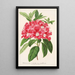 Reproduction of the painting Rhododendron azaleoides var. crispinorum - Charles Antoine Lemaire