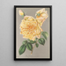 Rosa Té Amarillo de Oro - Charles Antoine Lemaire — cuadro enmarcado en la pared