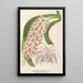 Saccolabium Blumei var. majus - Charles Antoine Lemaire — framed artwork on a wall