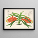 Saccolabium curvifolium - Charles Antoine Lemaire — cuadro enmarcado en la pared