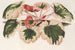 Saxifraga fortunei Hort. angl. var. tricolor - Charles Antoine Lemaire — vista de la obra