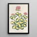 Sedum Sieboldii - Charles Antoine Lemaire — cuadro enmarcado en la pared