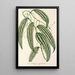 Smilax longifolia fol. variegata - Charles Antoine Lemaire — framed artwork on a wall