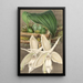 Reproduction of the painting Stanhopea eburnea var. spectabilis - Charles Antoine Lemaire